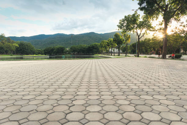 Best Residential Driveway Paver Services  in , MS